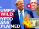 Trump's Pro-Crypto Policies Explained