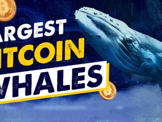 Bitcoin Billionaires! Who are the Largest Bitcoin Whales