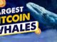 Bitcoin Billionaires! Who are the Largest Bitcoin Whales