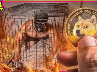 Crypto Scams Are Getting Worse…